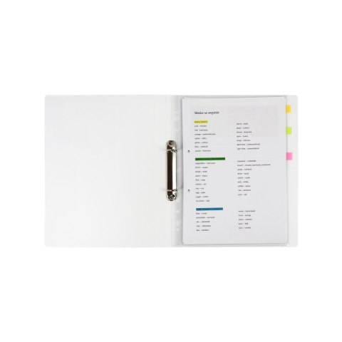 Segregator ringowy FOOTBALL A4 mix Biurfol (SEN-A4-34)