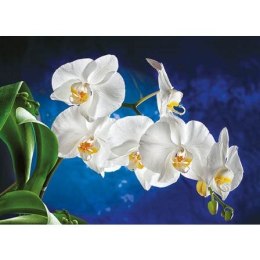 Kalendarz ścienny Orchidea TRÓJDZIELNY Jotan (T45)
