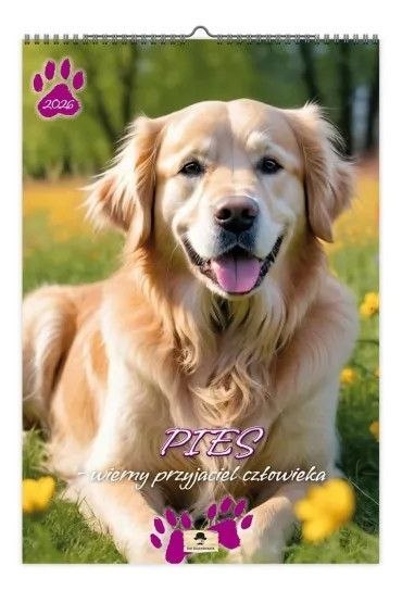Kalendarz ścienny Pies wierny przyjaciel człowieka 320mm x 470mm Pan Kalendarzyk (A3 VD.12)