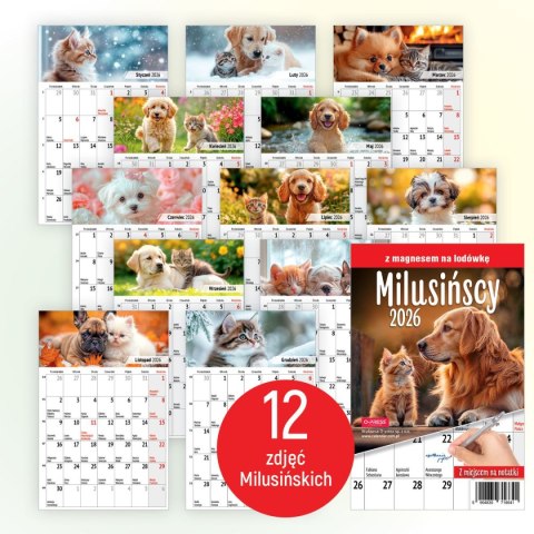 Kalendarz ścienny na lodówkę z magnesem 137mm x 210mm Press (MILUSIŃSCY)