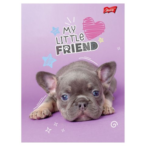 Zeszyt MY LITTLE FRIEND A5 32k. 70g krata Unipap