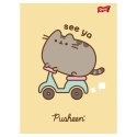 Zeszyt Pusheen A5 60k. krata Unipap