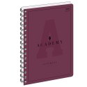Kołozeszyt (kołonotatnik) ACADEMY A4 100k. 90g krata Interdruk (KOŁOZA4100AC)