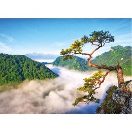 Kalendarz ścienny Limba na Sokolnicy trójdzielne 320mm x 855mm Jotan (t54)