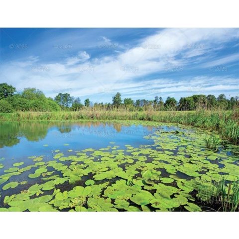 Kalendarz ścienny PEJZAŻE POLSKIE 13-planszowe 320mm x 470mm Lucrum (RW01)