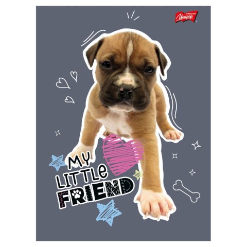 Zeszyt My Little Friend Unipap