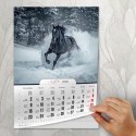 Kalendarz ścienny A4 KONIE A4 Press (5904830713398)