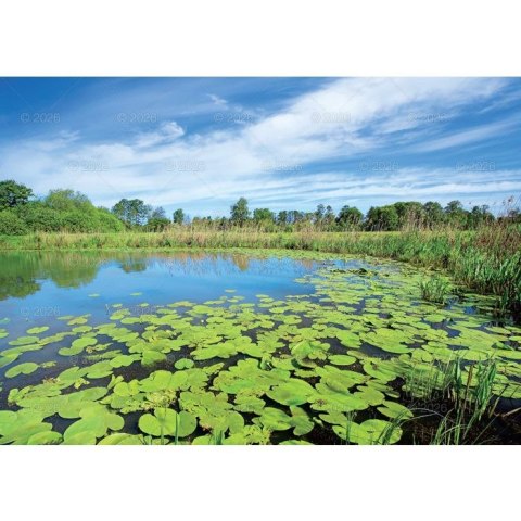 Kalendarz ścienny Pejzaże Polski rodzinny 2023 280mm x 200mm Lucrum (WL03)