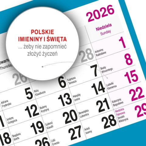 Kalendarz ścienny PALMY 310mm x 790mm Press