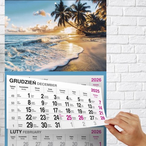 Kalendarz ścienny PALMY 310mm x 790mm Press