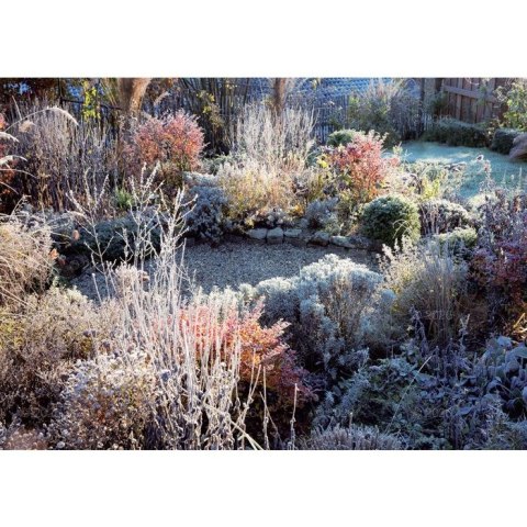 Kalendarz ścienny rodzinny 280mm x 200mm Lucrum (WL13)