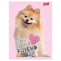 Zeszyt My Little Friend, 1 A5 16k. 70g linia Unipap
