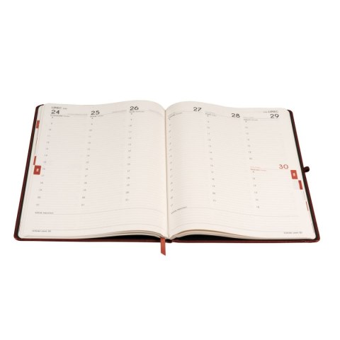 Kalendarz książkowy (terminarz) 2026 FORMALIZM TDW A4 Antra (BRĄZOWY)