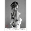 Kalendarz ścienny EROTIC ART wieloplanszowy 350mm x 300mm Jotan (WP147)