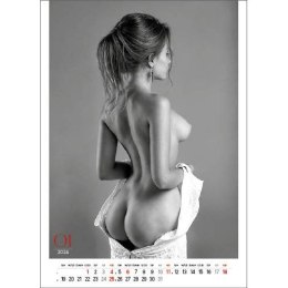 Kalendarz ścienny EROTIC ART wieloplanszowy 350mm x 300mm Jotan (WP147)
