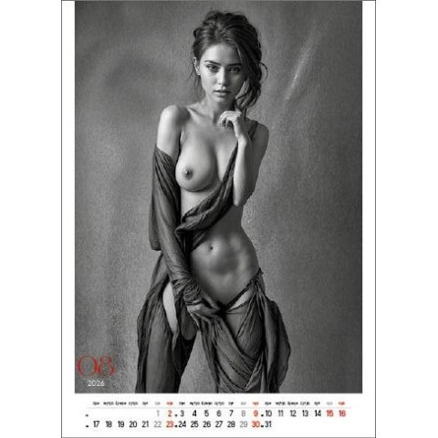 Kalendarz ścienny EROTIC ART wieloplanszowy 350mm x 300mm Jotan (WP147)