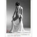 Kalendarz ścienny EROTIC ART wieloplanszowy 350mm x 300mm Jotan (WP147)
