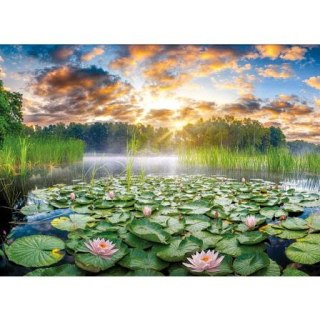 Kalendarz ścienny Lilie wodne tróijdzielny 320mm x 855mm Jotan (T50)