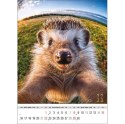 Kalendarz ścienny SELFIE 13-KARTKOWY A3+ Jotan (WP135)