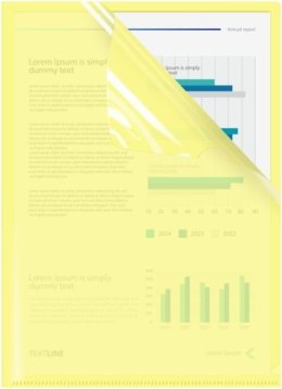 Ofertówka A4 kolor: złota typu L Biurfol (OFP-A4-03)
