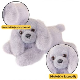 Pluszak Piesek Cocker Spaniel szary [mm:] 300 Lean (22436)