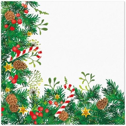 Serwetki Lunch mix bibuła Paw (SDL238300)