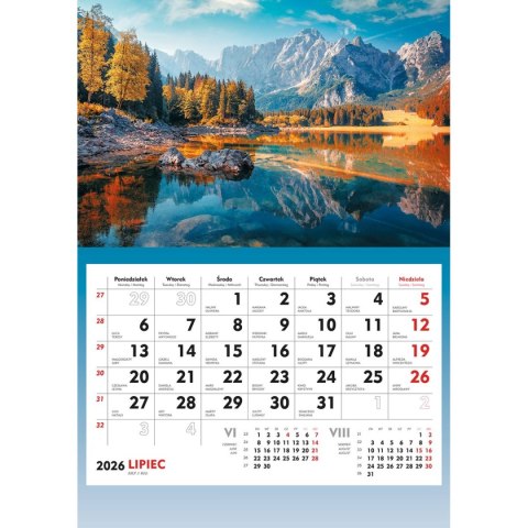 Kalendarz ścienny terminarz ścienny 310mm x 482mm Michalczyk i Prokop (T-107S-2)