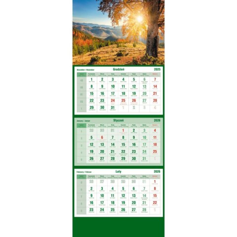 Kalendarz ścienny trójdzielny 855mm x 315mm Michalczyk i Prokop (T-105T-05)
