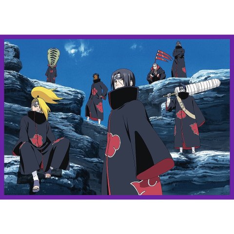 Puzzle 250 el. Trefl (13339)