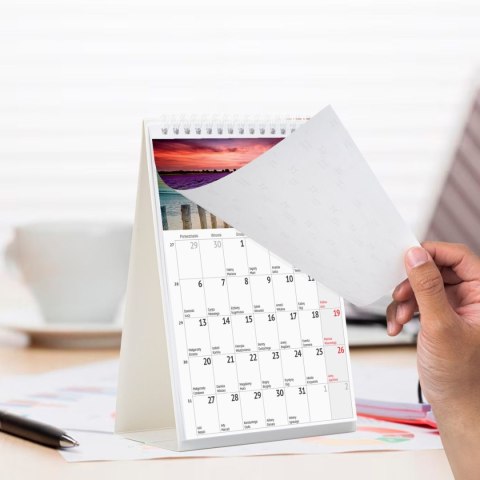 Kalendarz biurkowy miesięczny Pejzaże 240mm x 150mm Press (5904830713602)