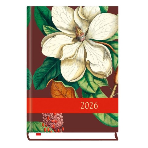 Kalendarz książkowy (terminarz) B6 Michalczyk i Prokop (T-200F-01)