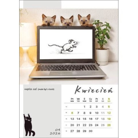 Kalendarz ścienny KOT W BIURZE WIELOPLANSZOWY A3 Jotan (WP136)