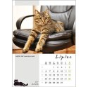 Kalendarz ścienny KOT W BIURZE WIELOPLANSZOWY A3 Jotan (WP136)