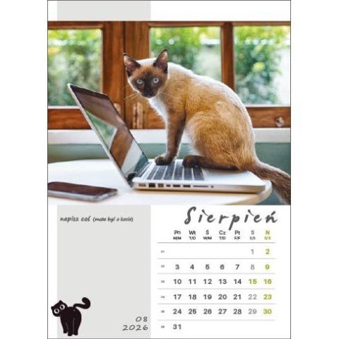 Kalendarz ścienny KOT W BIURZE WIELOPLANSZOWY A3 Jotan (WP136)
