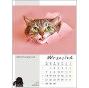 Kalendarz ścienny KOT W BIURZE WIELOPLANSZOWY A3 Jotan (WP136)