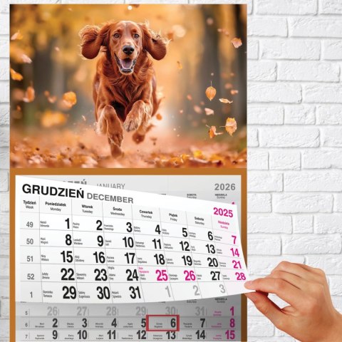 Kalendarz ścienny PIES A5 210mm x 450mm Press