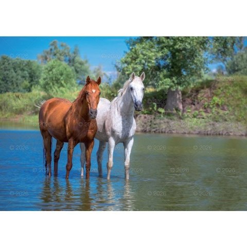 Kalendarz ścienny konie w plenerze rodzinny 280mm x 200mm Lucrum (WL10)