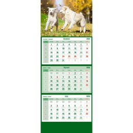 Kalendarz ścienny trójdzielny 855mm x 315mm Michalczyk i Prokop (T-105T-09)