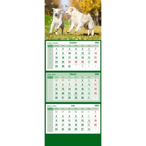 Kalendarz ścienny trójdzielny 855mm x 315mm Michalczyk i Prokop (T-105T-09)