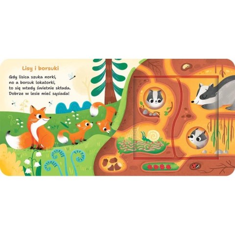 Książka dla dzieci W lesie. Otwórz i sprawdź! Aksjomat