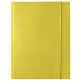 Teczka kartonowa na gumkę A4 mix Bantex (400114426)