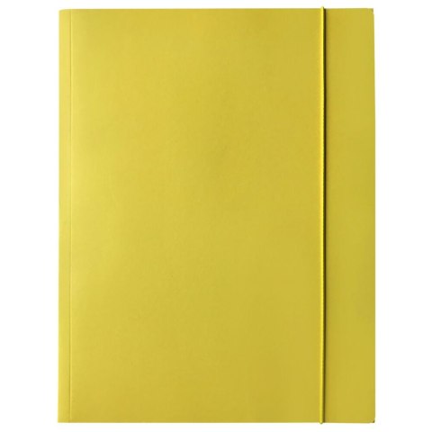 Teczka kartonowa na gumkę A4 mix Bantex (400114426)