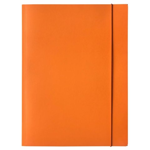 Teczka kartonowa na gumkę A4 mix Bantex (400114426)