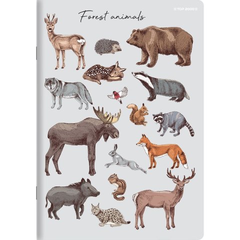 Zeszyt PP A5 32k. krata Top 2000 (400174505)