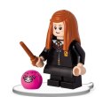 Książka dla dzieci LEGO® Harry Potter™. Towarzysze zabaw Ameet (LNC 6424)