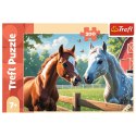 Puzzle Konie na polanie 200 el. Trefl (13328)