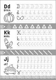 Książeczka edukacyjna Szlaczki i literki 4-6 lat Literka