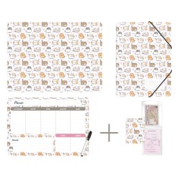 Zestaw szkolny Kittens 4 el. Biurfol (KPL-NADRUK-01-35)