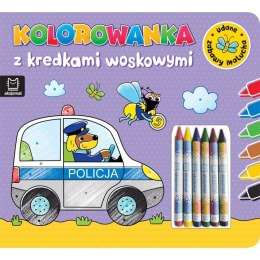 Książeczka edukacyjna Aksjomat Kolorowanka z kredkami woskowymi. Udane zabawy malucha