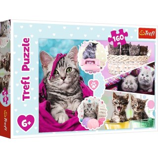 Puzzle 160 el. Trefl (15371)